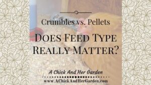 Choosing the right feed type can save quite a bit in costs...