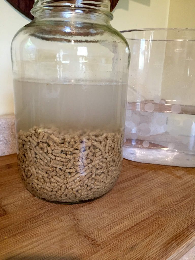 Fermenting Feed 2