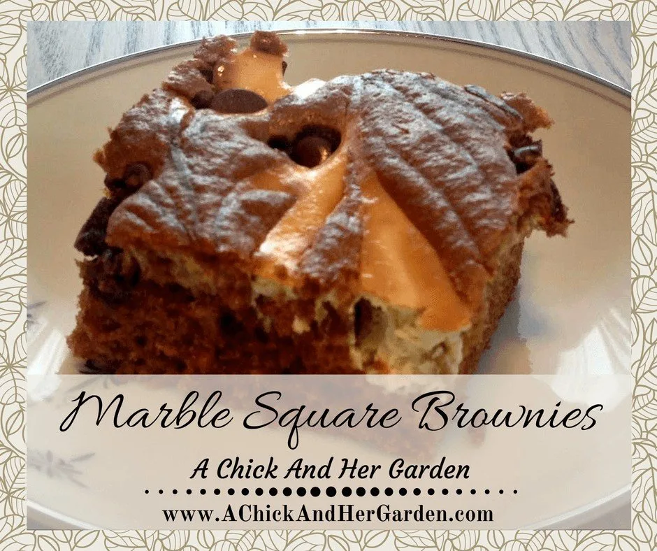 Marble Square Brownies