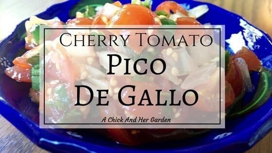 Cherry Tomato Pico De Gallo