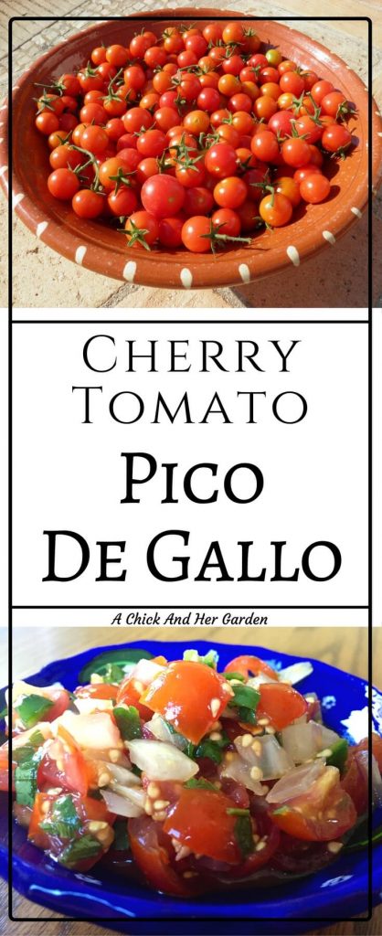 Cherry tomato plants can grow like weeds! Weeds that give you treats! What should you do with your extra cherry tomatoes? Make Pico De Gallo!