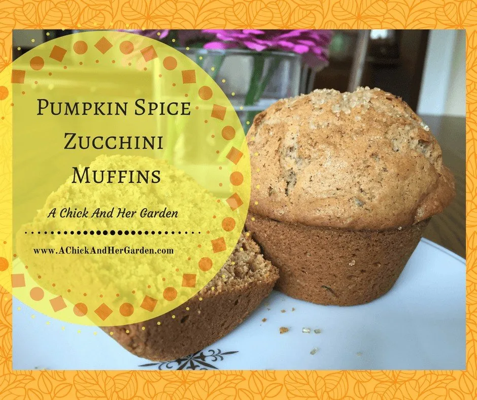 pumpkin-spicezucchini-muffins-5