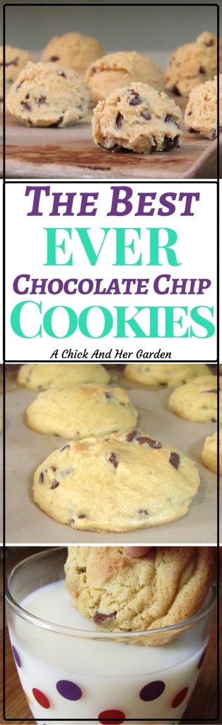 These chocolate chip cookies are so amazing you can use them as a form of payment!