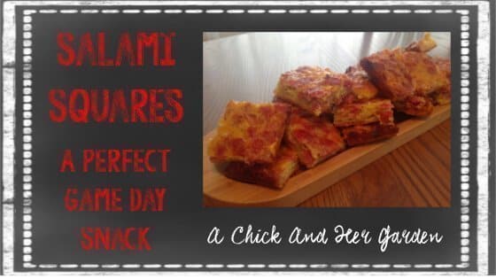Salami Squares