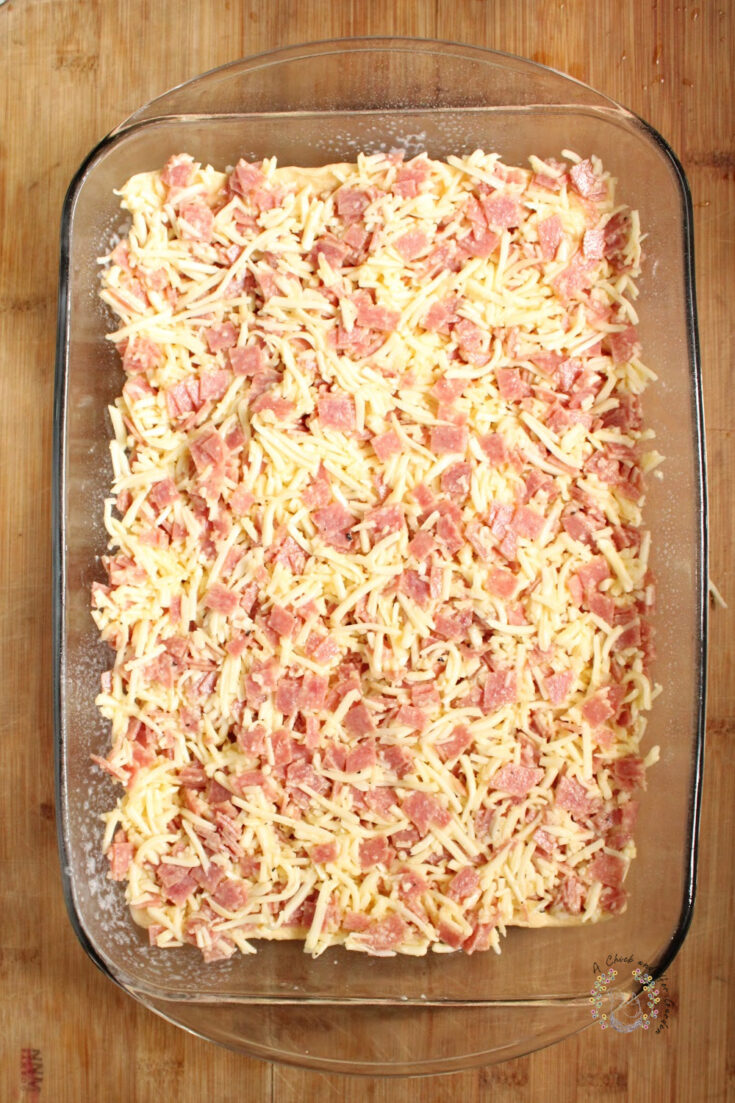 uncooked salami squares