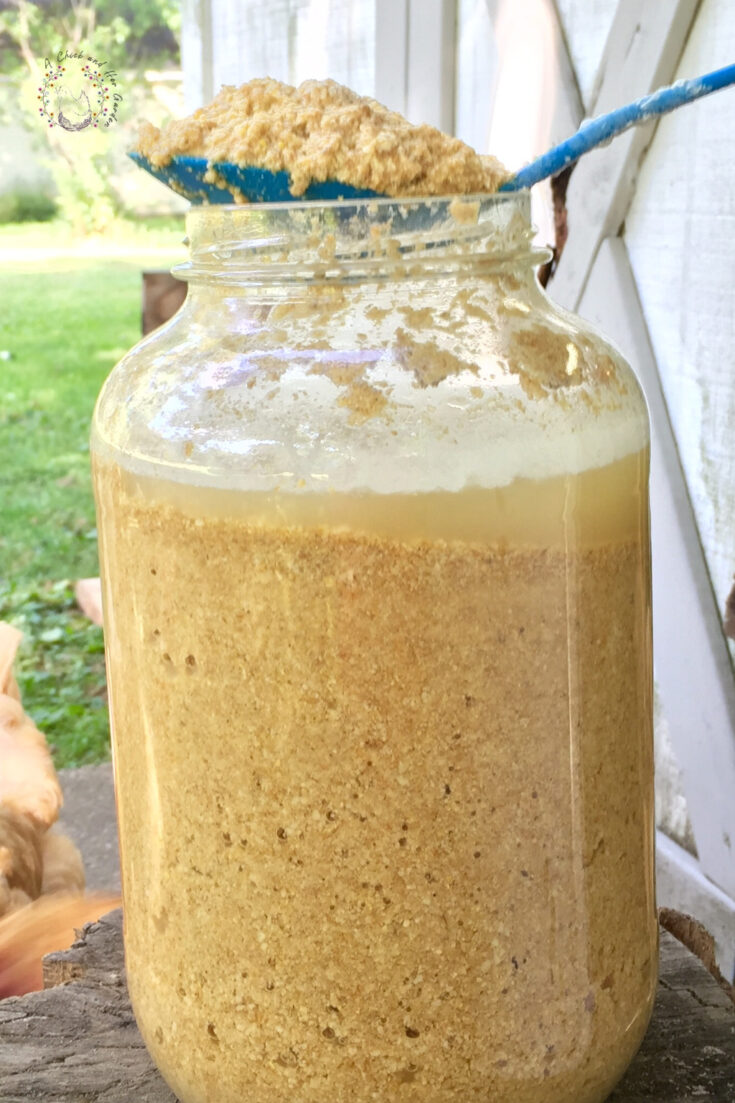 fermented chicken feed in a glass jar with a blue spoon