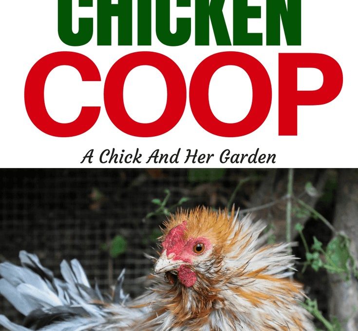 Why We Don't Add Lights To The Chicken Coop A Chick And Her Garden