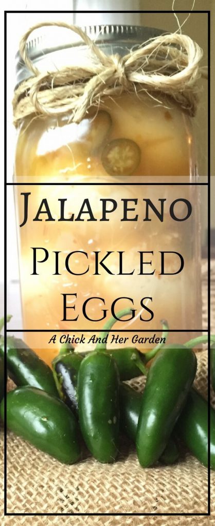 If you like pickled eggs and you like spicy, this is the perfect treat! Eat as a snack, appetizer or add on top of salads!