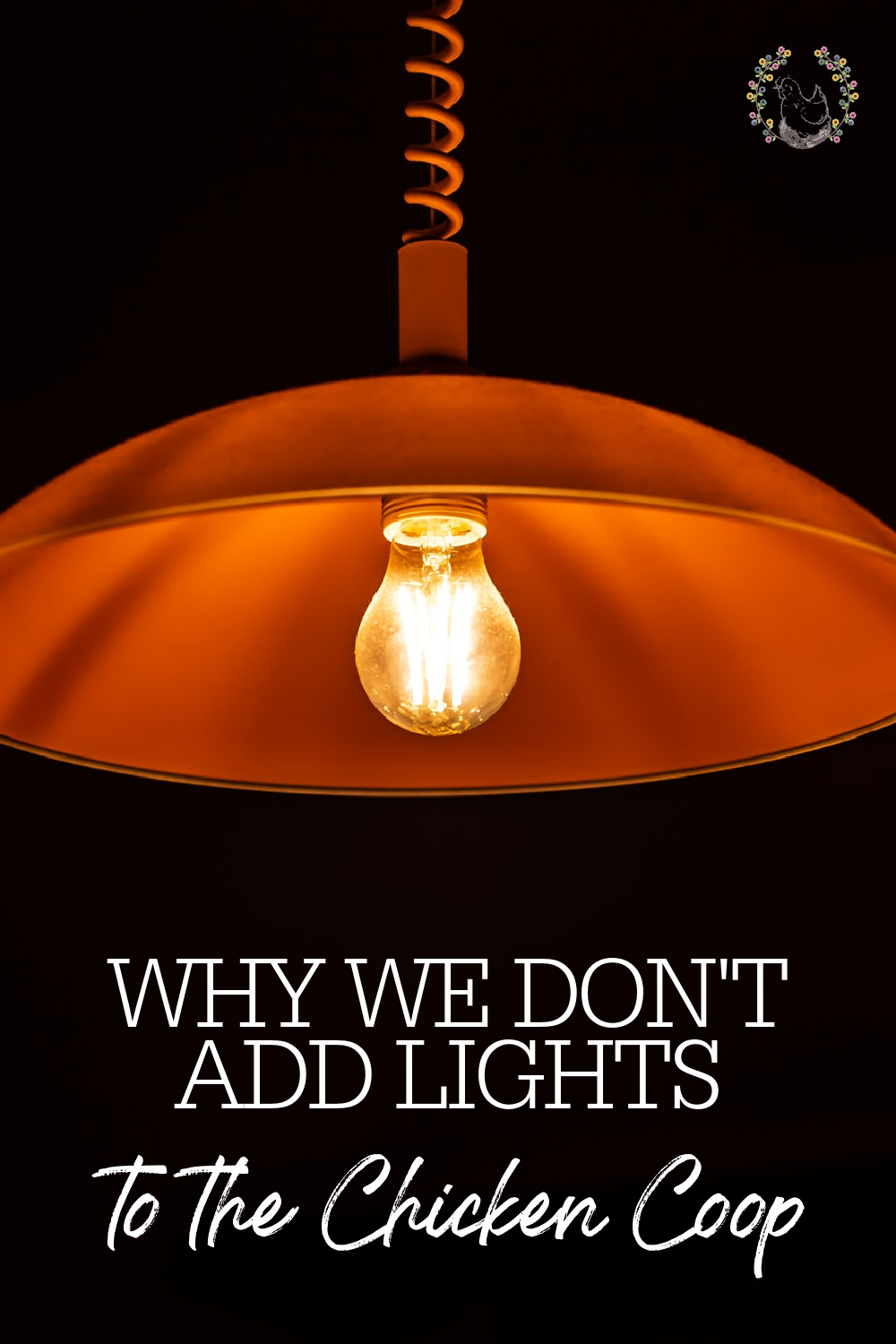 Why We Don't Add Lights To The Chicken Coop A Chick And Her Garden