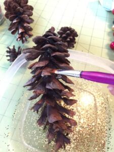 pine-cone-6