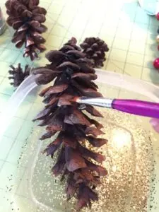 pine-cone-6