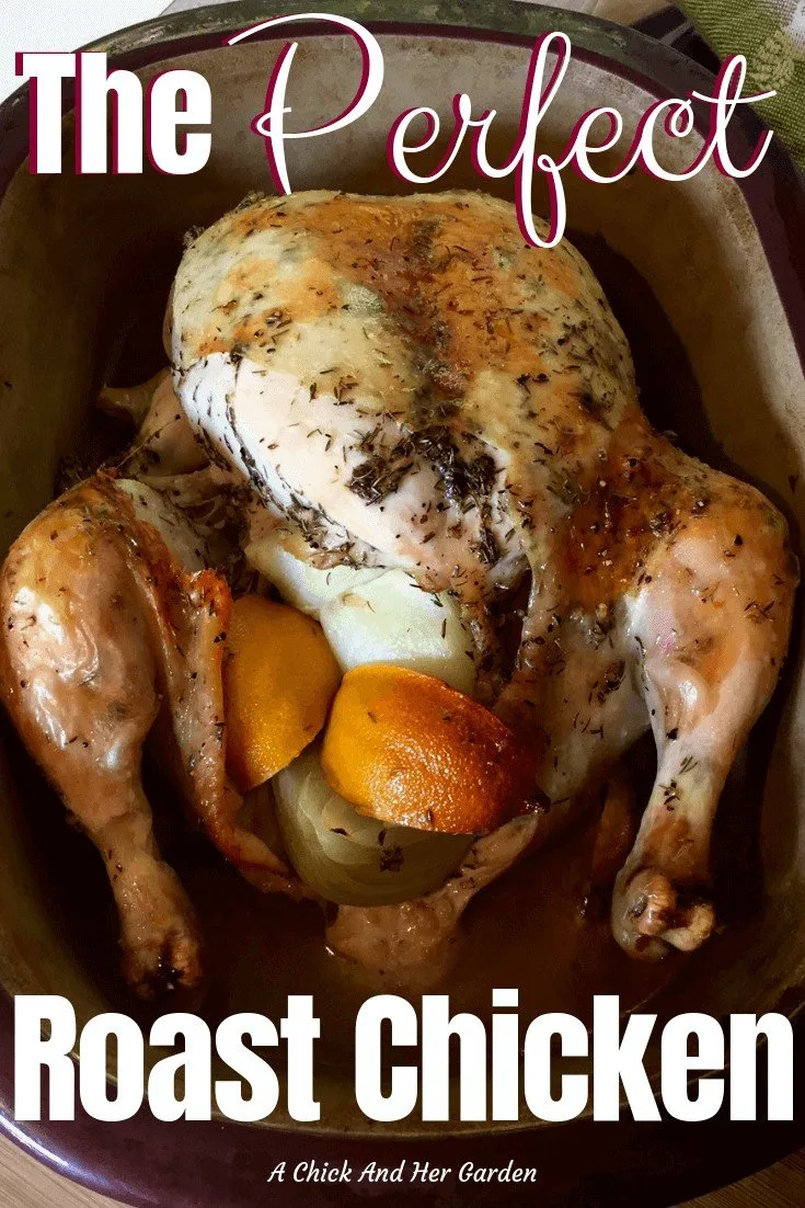 Having the perfect roast chicken recipe in your recipe box is a must! And this recipe is just that! Perfect every time and the chicken is great for dinner with a few sides or shredded and used in salads, casseroles and more! #roastchicken #chickenrecipe #dinner #fromscratch #achickandhergarden