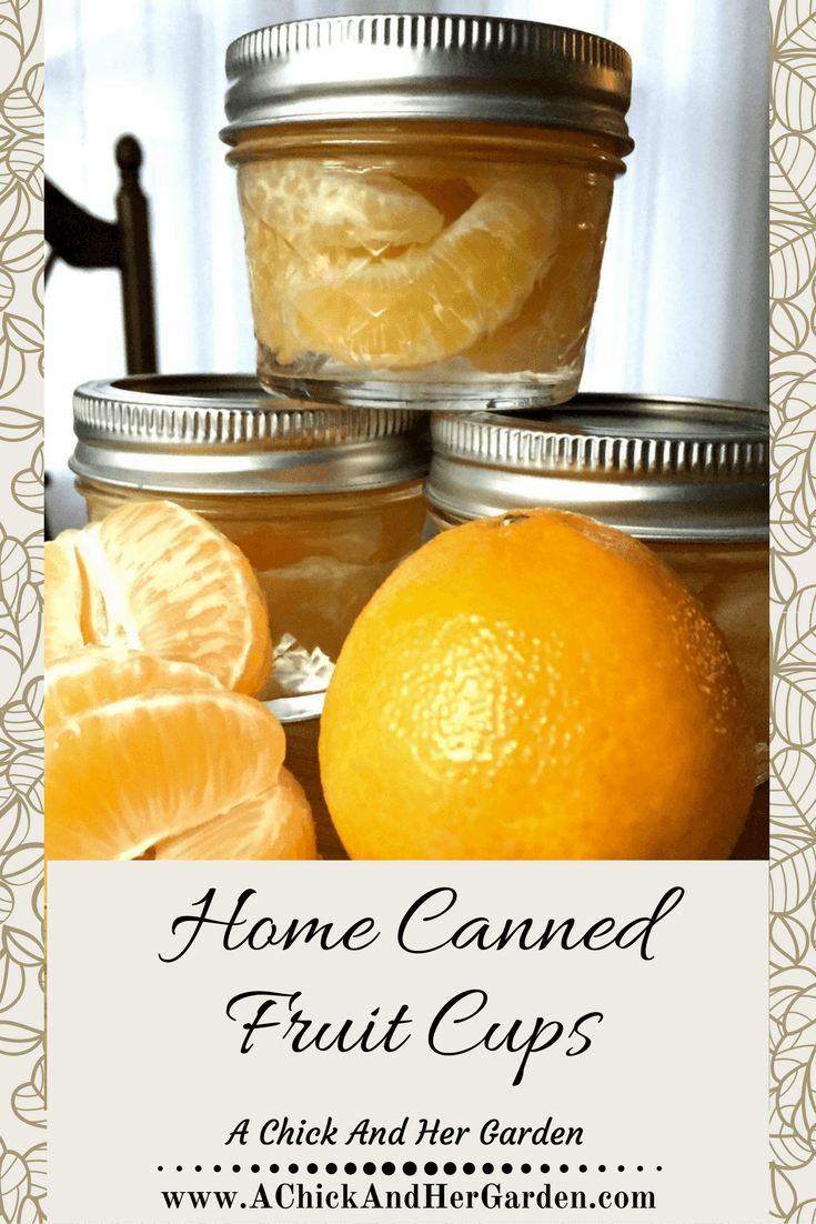 Home Canned Fruit Cups A Chick And Her Garden