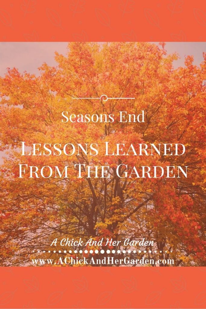 Every year we learn something new in the garden. Here are my lessons, what have you learned?