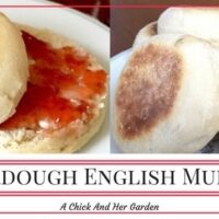 Sourdough English Muffins