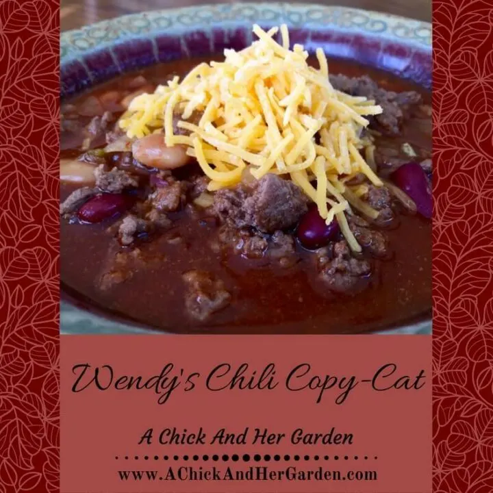 Wendy's Chili Copy-Cat