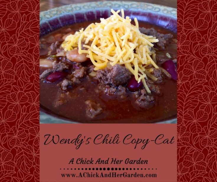 Wendy's Chili Copy-Cat