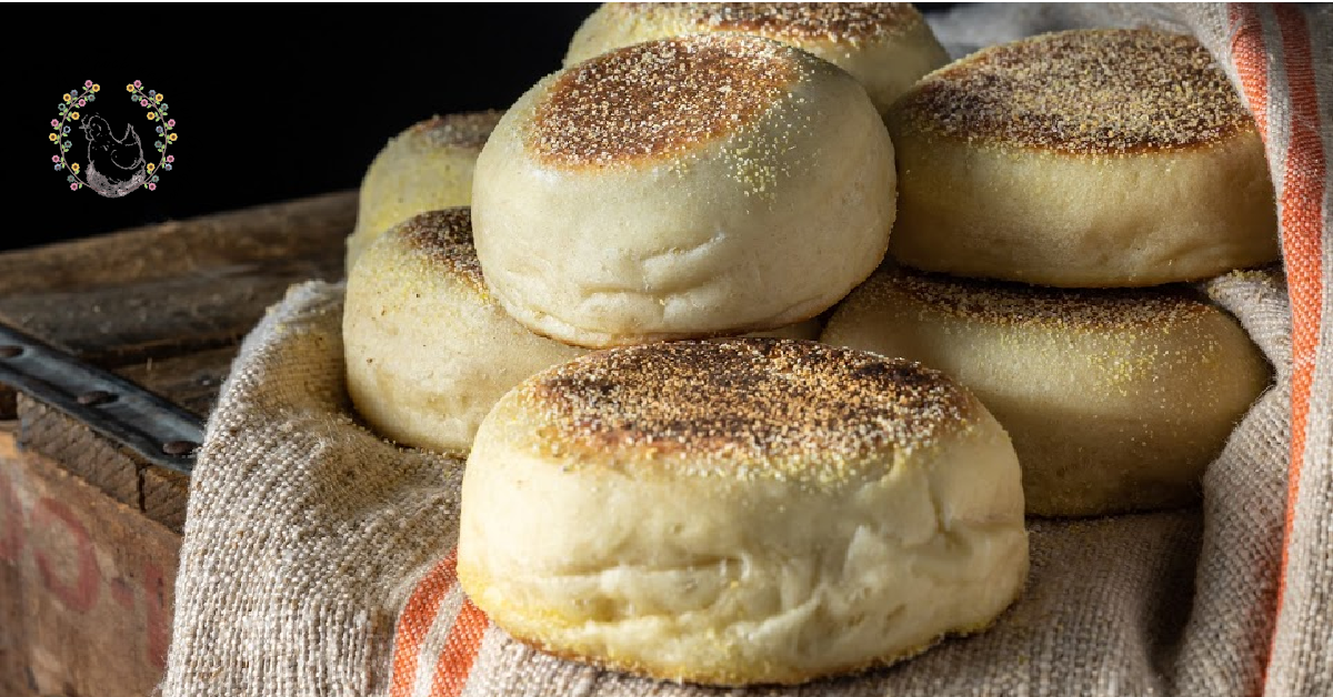 Sourdough English Muffins - Aberle Home