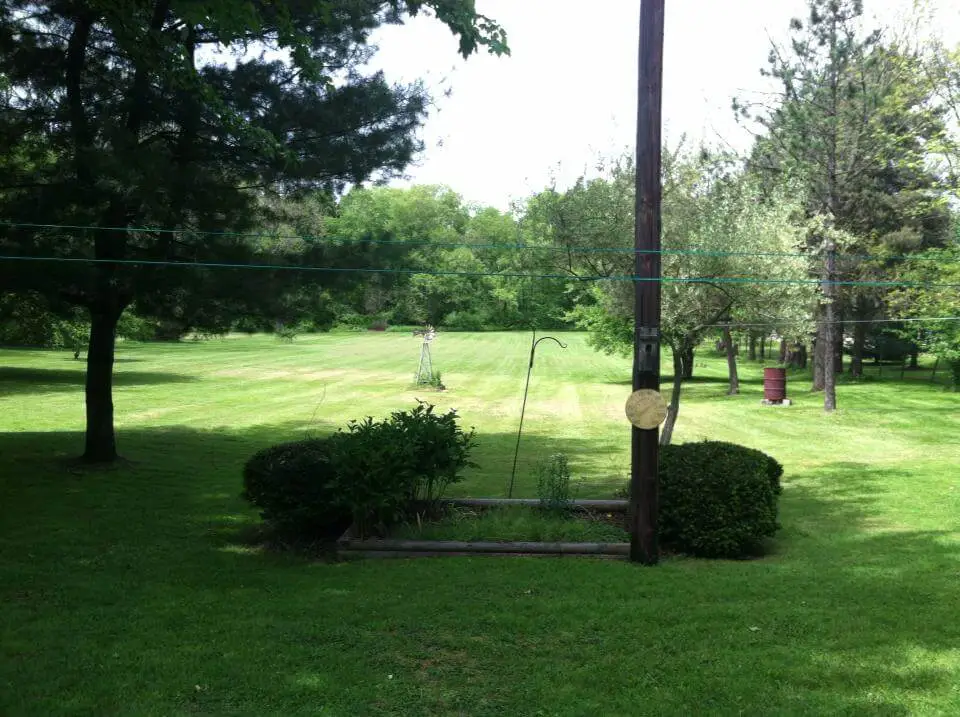 The History of Our Homestead ~ A Chick And Her Garden