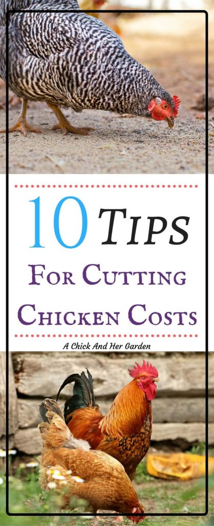 10 Tips For Cutting Chicken Costs - A Chick And Her Garden