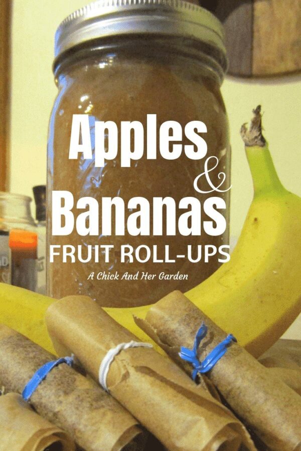 Apples and Bananas Fruit Roll Ups A Chick And Her Garden