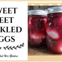 Sweet Beet Pickled Eggs