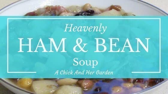 Heavenly Ham And Bean Soup