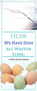 Egg production goes down and sometimes stops in the winter with the shorter days. Some people like to add lights to the chicken coop to keep up production. We don't. So how do we have eggs in the winter?