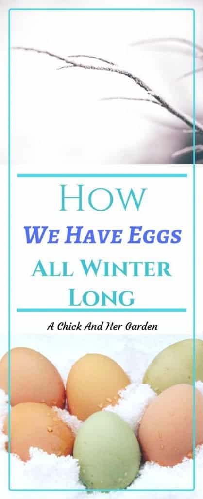 Egg production goes down and sometimes stops in the winter with the shorter days. Some people like to add lights to the chicken coop to keep up production. We don't. So how do we have eggs in the winter?