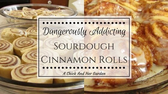 Dangerously Addicting Sourdough Cinnamon Rolls