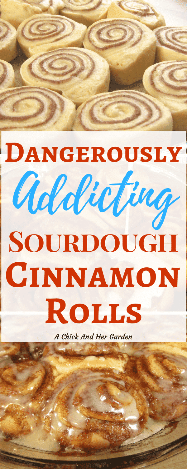 If you're looking for a new way to use up sourdough starter, this cinnamon roll recipe is amazing! She isn't kidding when she says they are dangerously addicting sourdough cinnamon rolls! #cinnamonrolls #breakfast #sweetrolls #sourdoughrecipes #cinnamonrollrecipe #sourdoughcinnamonrolls