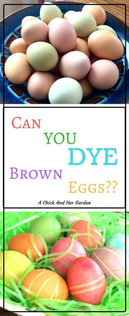 Can you dye brown eggs? Should you? They're all so beautiful already!