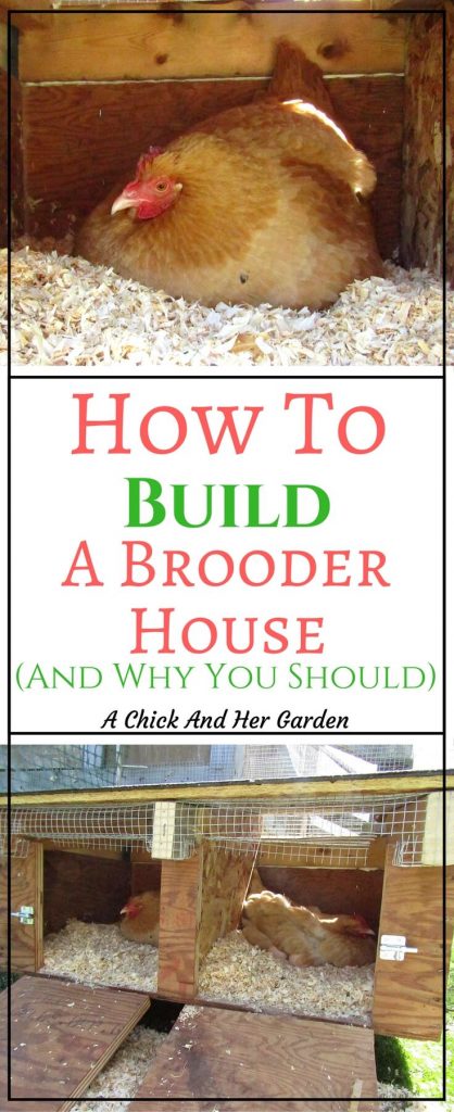 After years of trying to figure out how best to care for our broody hens we decide to build brooder house! And the best part is, we only spent $14!!!!