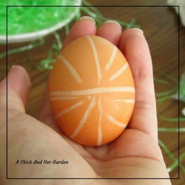 But, Can You Dye Brown Eggs? A Chick And Her Garden