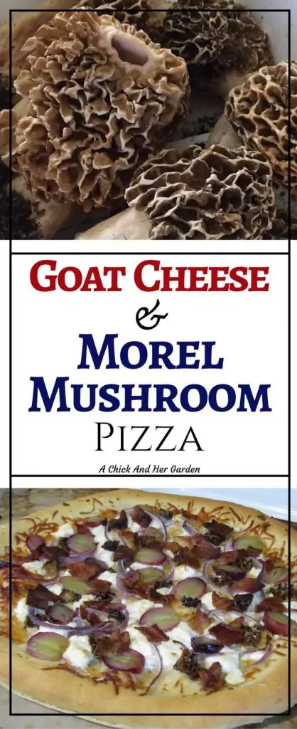 How should you cook morel mushrooms? On a pizza! This pizza!