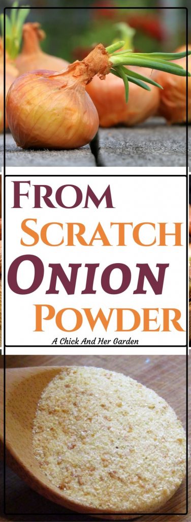 Out of onion powder? What should you do with sprouting onions? Make your own onion powder!