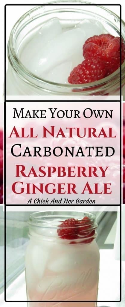 Trying to kick a soda habit? Try this homemade raspberry ginger ale recipe!