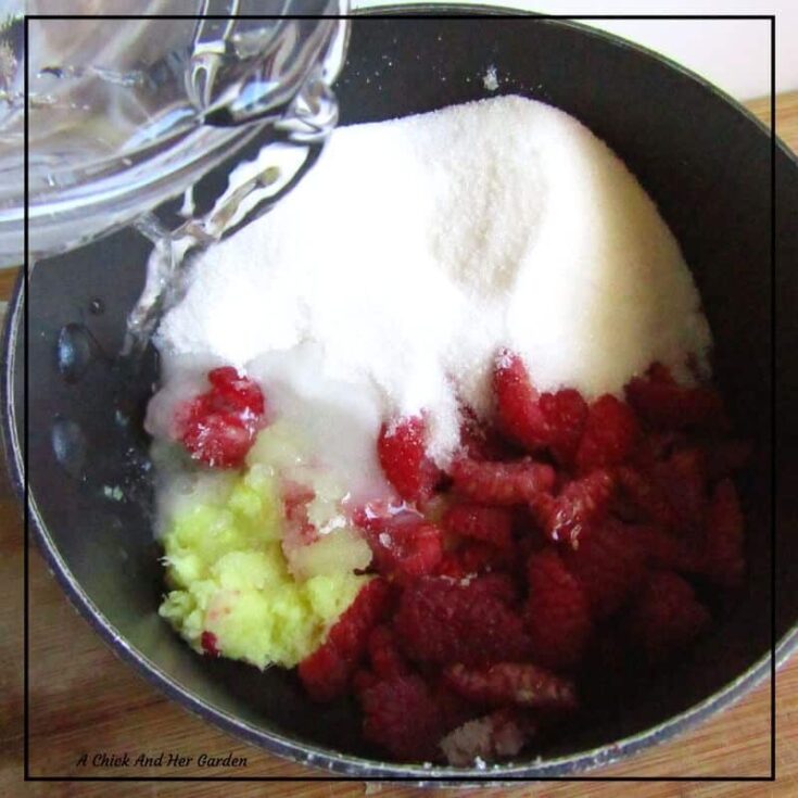 How To Make Your Own Raspberry Ginger Ale - A Chick And Her Garden