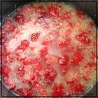 How To Make Your Own Raspberry Ginger Ale - A Chick And Her Garden