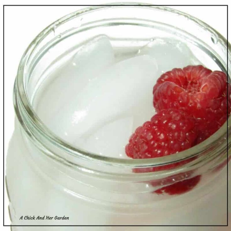 How To Make Your Own Raspberry Ginger Ale - A Chick And Her Garden