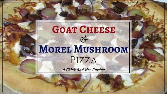 Goat Cheese and Morel Mushroom Pizza