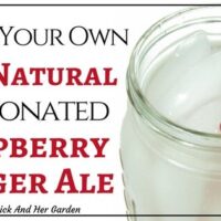 How To Make Your Own Raspberry Ginger Ale