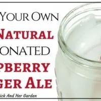 How To Make Your Own Raspberry Ginger Ale