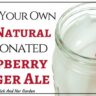 How To Make Your Own Raspberry Ginger Ale - A Chick And Her Garden