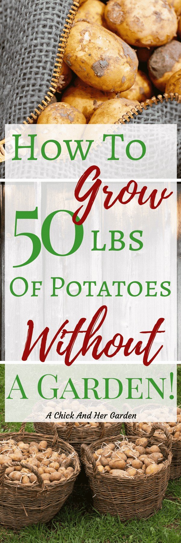 How Do You Save Space Growing Potatoes A Chick And Her Garden