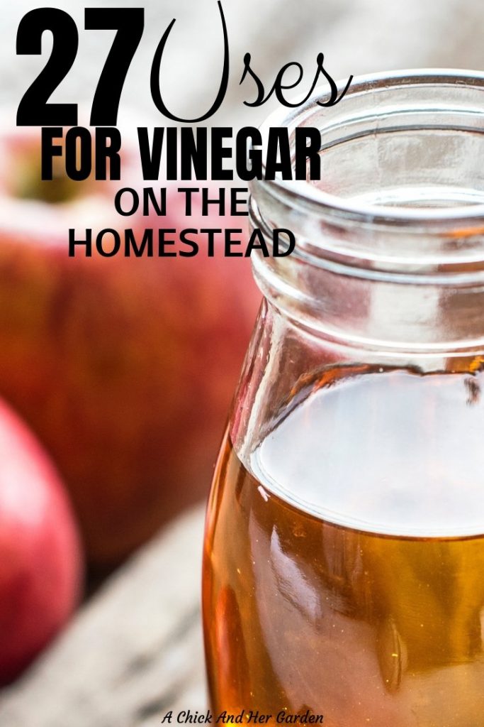 We go through so much vinegar on our homestead!  But surprisingly we've actually saved money because of it! This is a great list of ways you can use vinegar on your homestead! #naturalcleaning #vinegarforlivestock #naturalhealth #applecidarvinegaruses #vinegararoundthehouse #achickandhergarden