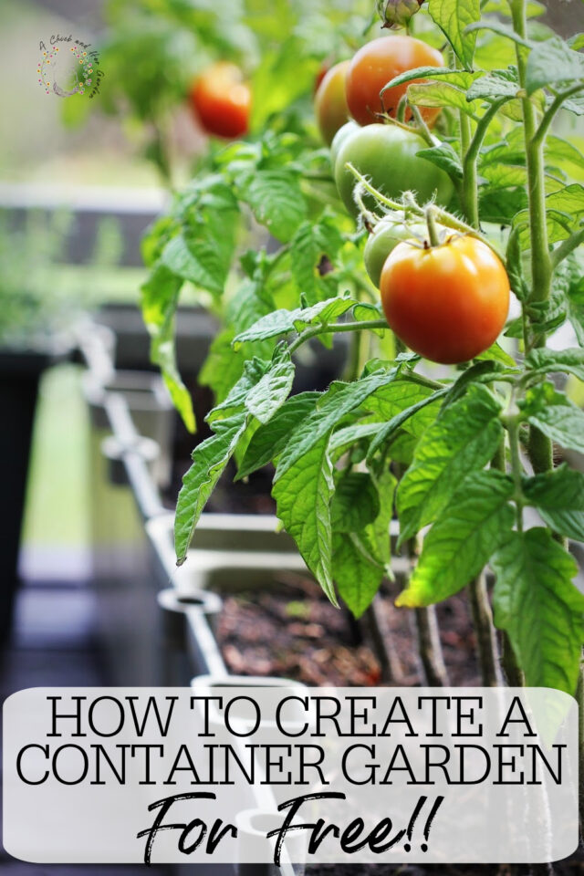 How To Build A Free Container Garden A Chick And Her Garden