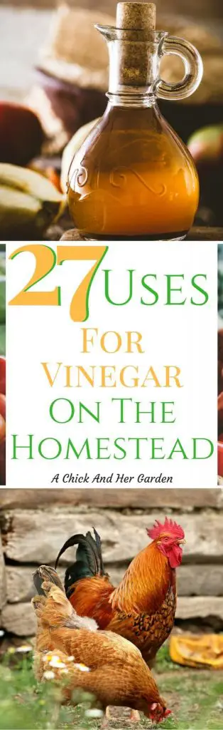 It's amazing how many uses there are for vinegar on the homestead! Check out how many things we can get rid of on our shopping lists!