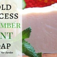 Cucumber Mint Soap