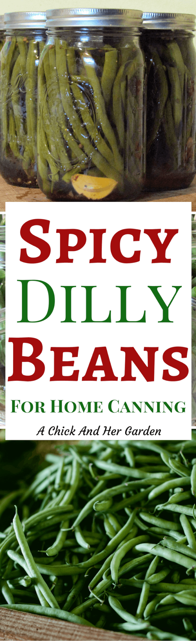 Have a crop of green beans just waiting to be preserved? Try this Spicy Dilly Beans recipe for home canning!